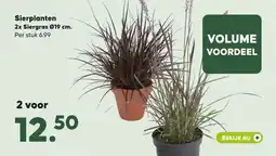 Pets Place Sierplanten 2x Siergras 019 cm. aanbieding