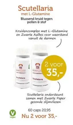 De Rode Pilaren Scutellaria aanbieding