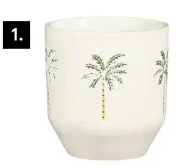 Karwei Beker palmboom aanbieding