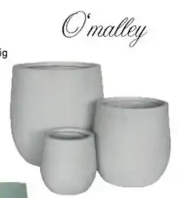 Van Cranenbroek O'malley Bloempot Legno aanbieding