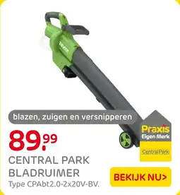Praxis Central Park Bladruimer aanbieding