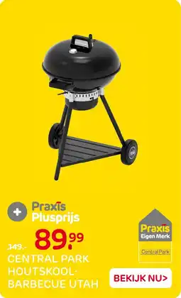 Praxis Central Park Houtskoolbarbecue Utah aanbieding