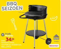 Praxis Central park houtskoolbarbecue mallorca aanbieding