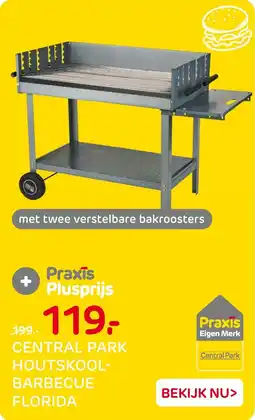Praxis Central Park Houtskoolbarbecue Florida aanbieding