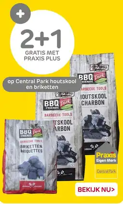 Praxis Central Park Houtskool en Briketten aanbieding