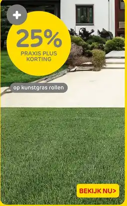 Praxis Kunstgras Rollen aanbieding