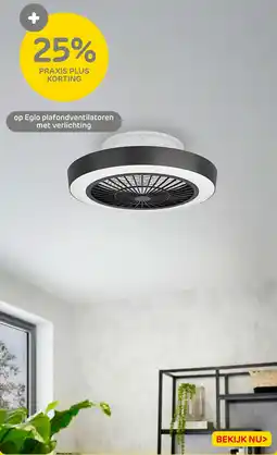 Praxis Eglo plafondventilatoren met verlichtinmet verlichting aanbieding