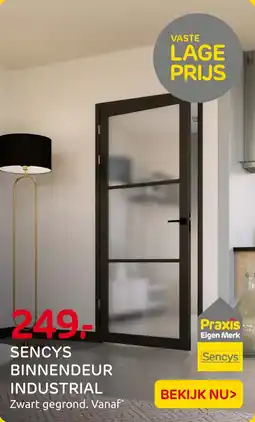 Praxis Sencys Binnendeur Industrial aanbieding