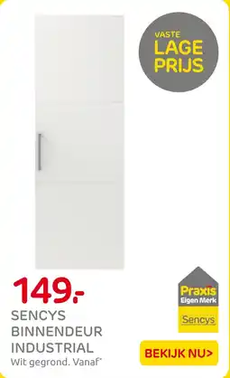 Praxis Sencys Binnendeur Industrial aanbieding