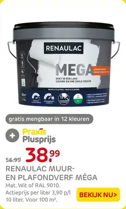 Praxis Renaulac Muur En Plafondverf Méga aanbieding