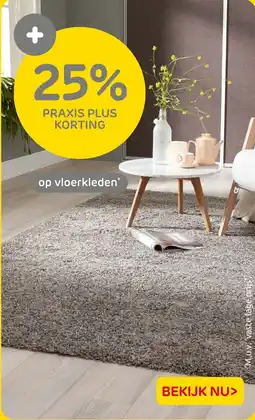 Praxis Vloerkleden aanbieding