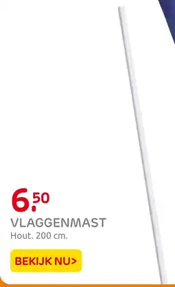 Praxis Vlaggenmast aanbieding