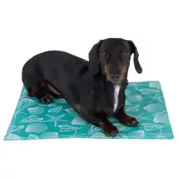 Zooplus Koelmat Bondi 40x50cm Hond & Kat aanbieding