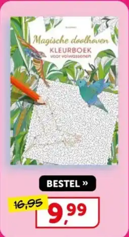 Boekenvoordeel Magische doolhoven kleurboek voor volwassenen aanbieding