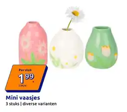 Action Mini vaasjes aanbieding