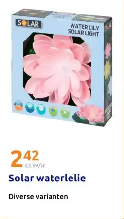 Action Solar waterlelie aanbieding