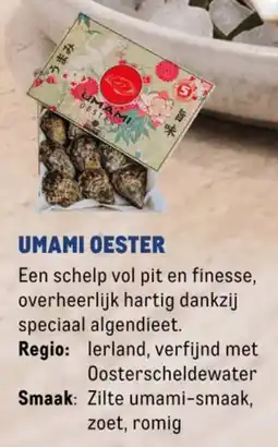 Makro Umami Oester aanbieding