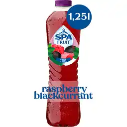 Jumbo SPA FRUIT Niet-Bruisende Fruitige Frisdrank Raspberry Blackcurrant 1,25 L aanbieding