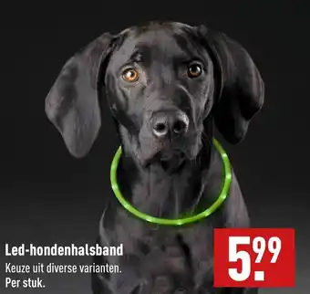 ALDI Led-hondenhalsband aanbieding