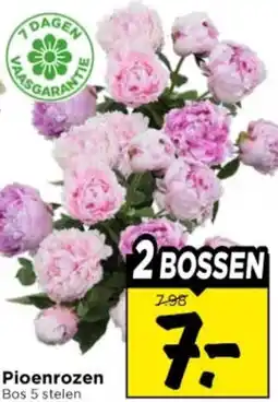 Vomar Voordeelmarkt Pioenrozen aanbieding