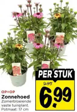 Vomar Voordeelmarkt Zonnehoed aanbieding