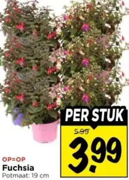 Vomar Voordeelmarkt Fuchsia aanbieding