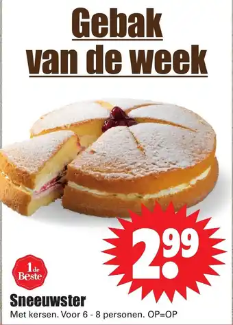 Dirk Sneeuwster aanbieding