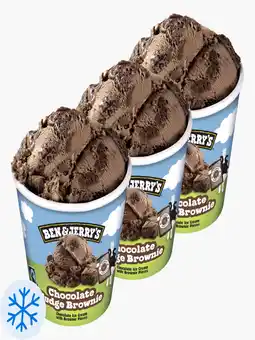 Flink Ben & Jerry's Chocolate Fudge Brownie Classic 465ml 3x aanbieding