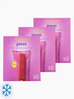 Flink G'woon Bosvruchtenijs 12st 3x aanbieding