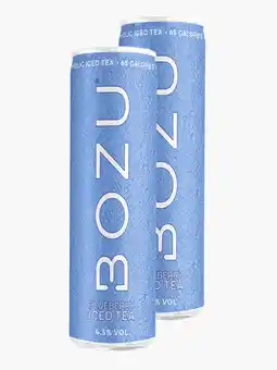 Flink Bozu Hard Iced Tea 4.5% Blueberry 25cl 2x aanbieding