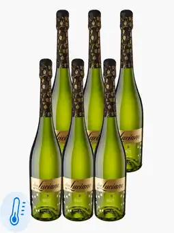 Flink Don Luciano Brut 750ml 6x aanbieding