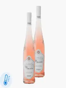 Flink Gris de Seigneur Rosé 750ml 2x aanbieding