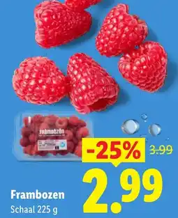 Lidl Frambozen aanbieding