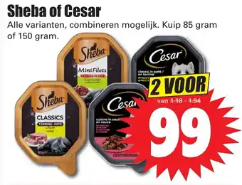 Dirk Sheba of Cesar aanbieding