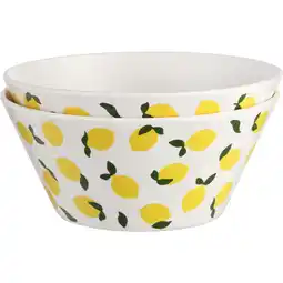 Albert Heijn S&A Set 2 schaaltjes 15cm aanbieding