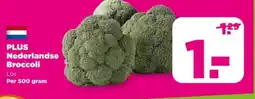 PLUS Plus nederlandse broccoli aanbieding