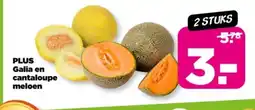 PLUS Plus galia en cantaloupe meloen aanbieding