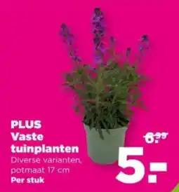 PLUS Plus vaste tuinplanten aanbieding