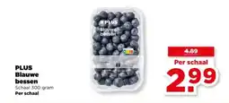 PLUS PLUS Blauwe bessen aanbieding