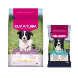 Zooplus 3 kg of 15 kg Eukanuba droogvoer voor honden + 100 g Eukanuba Adult Medium natvoer gratis! - 3 kg aanbieding