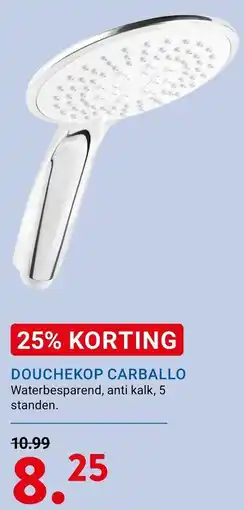 Kluswijs DOUCHEKOP CARBALLO aanbieding