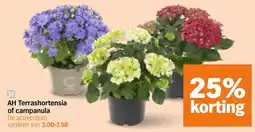 Albert Heijn AH Terrashortensia of campanula aanbieding