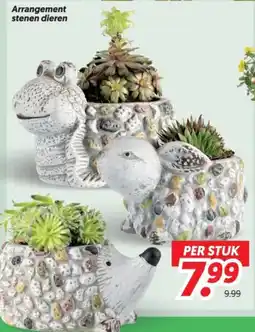 Dekamarkt Arrangement stenen dieren aanbieding