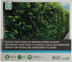Intratuin Intratuin hagen en groenblijvende planten voeding 3,5 kg aanbieding