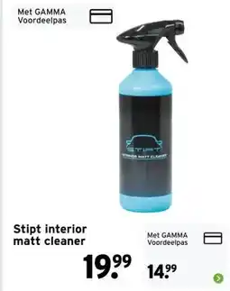 GAMMA Stipt interior matt cleaner aanbieding