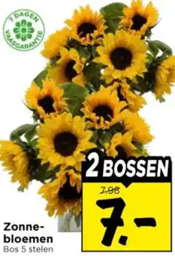 Vomar Voordeelmarkt Zonnebloemen aanbieding