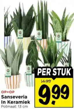Vomar Voordeelmarkt Sanseveria In Keramiek aanbieding