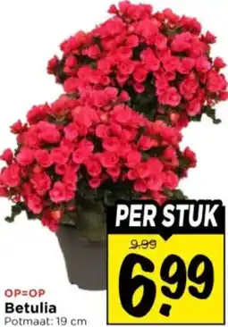 Vomar Voordeelmarkt Betulia aanbieding