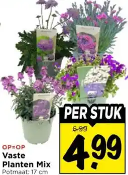 Vomar Voordeelmarkt Vaste Planten Mix aanbieding