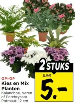 Vomar Voordeelmarkt Kies en Mix Planten aanbieding